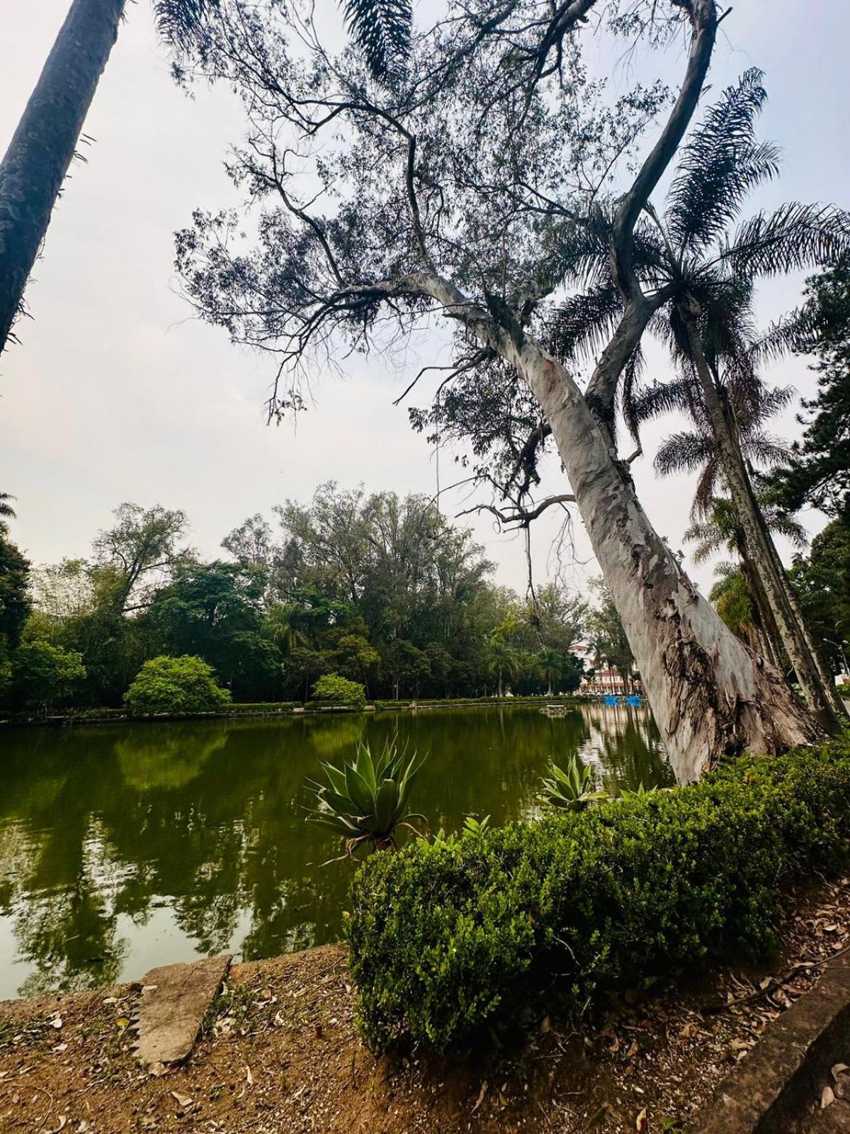 Apartamento Condominio Quisisana Centro Pocos De Caldas Lazer Completo, Uma Estrutura De Resort Eksteriør billede